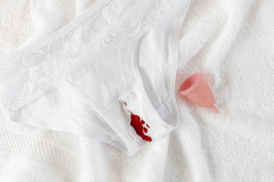 Durée de vie culotte menstruelle : tout savoir